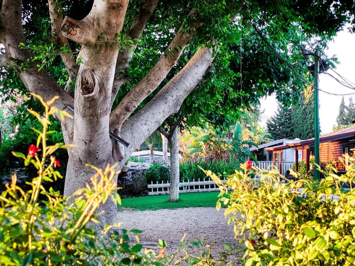 Etzel Tami Hospitality Hotel Neot Golan Luaran gambar
